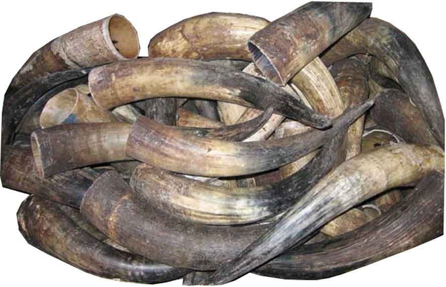 Horn materials Shop our selection online